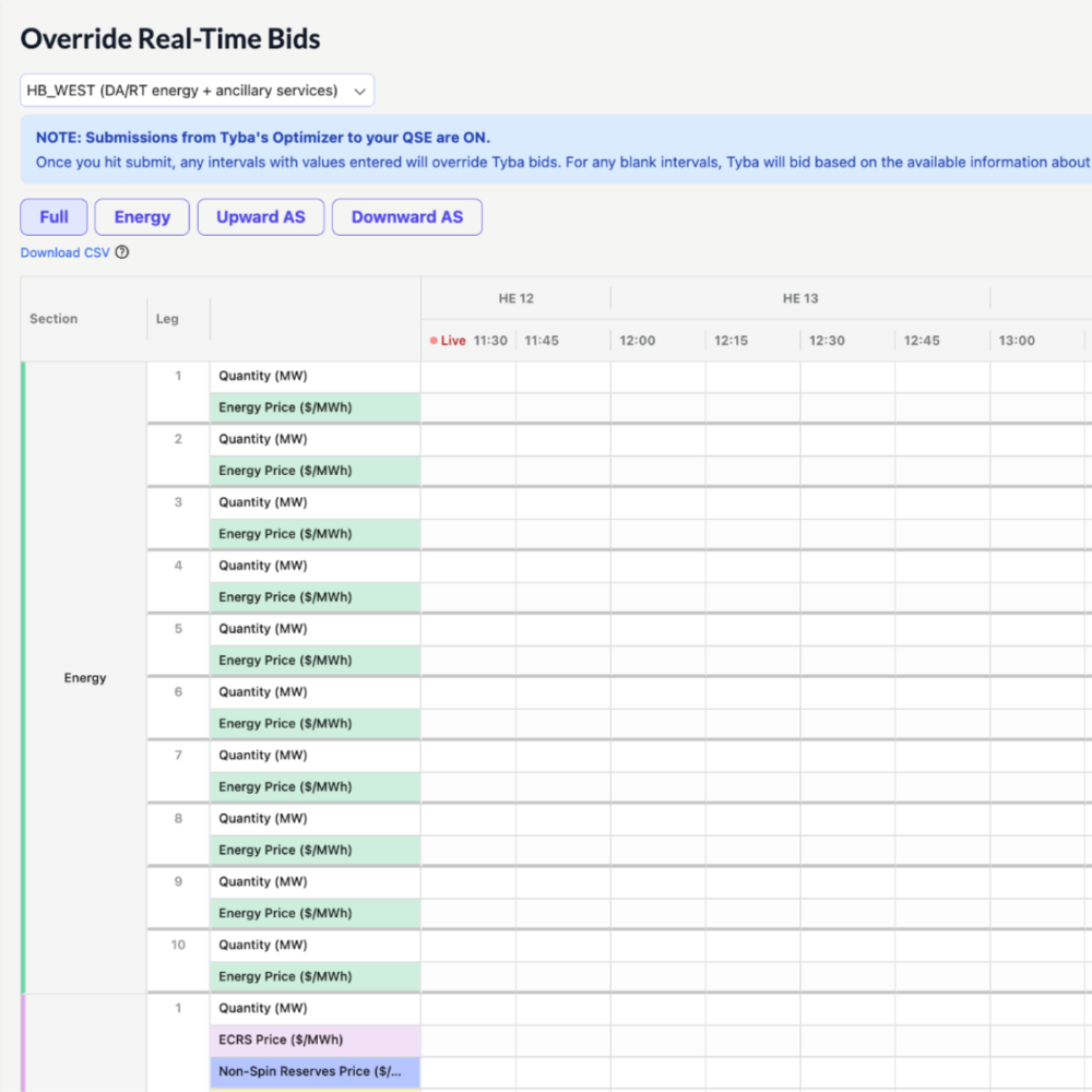 Override Real-Time Bids